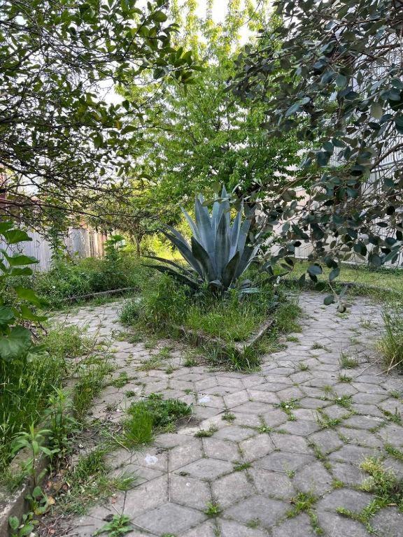 Hotel G I O Samtredia Kültér fotó